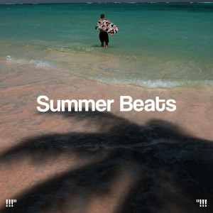 !!!" Summer Beats "!!!