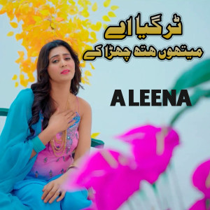 Album Tur Gaya Mathu Hath Chuda K from Aleena
