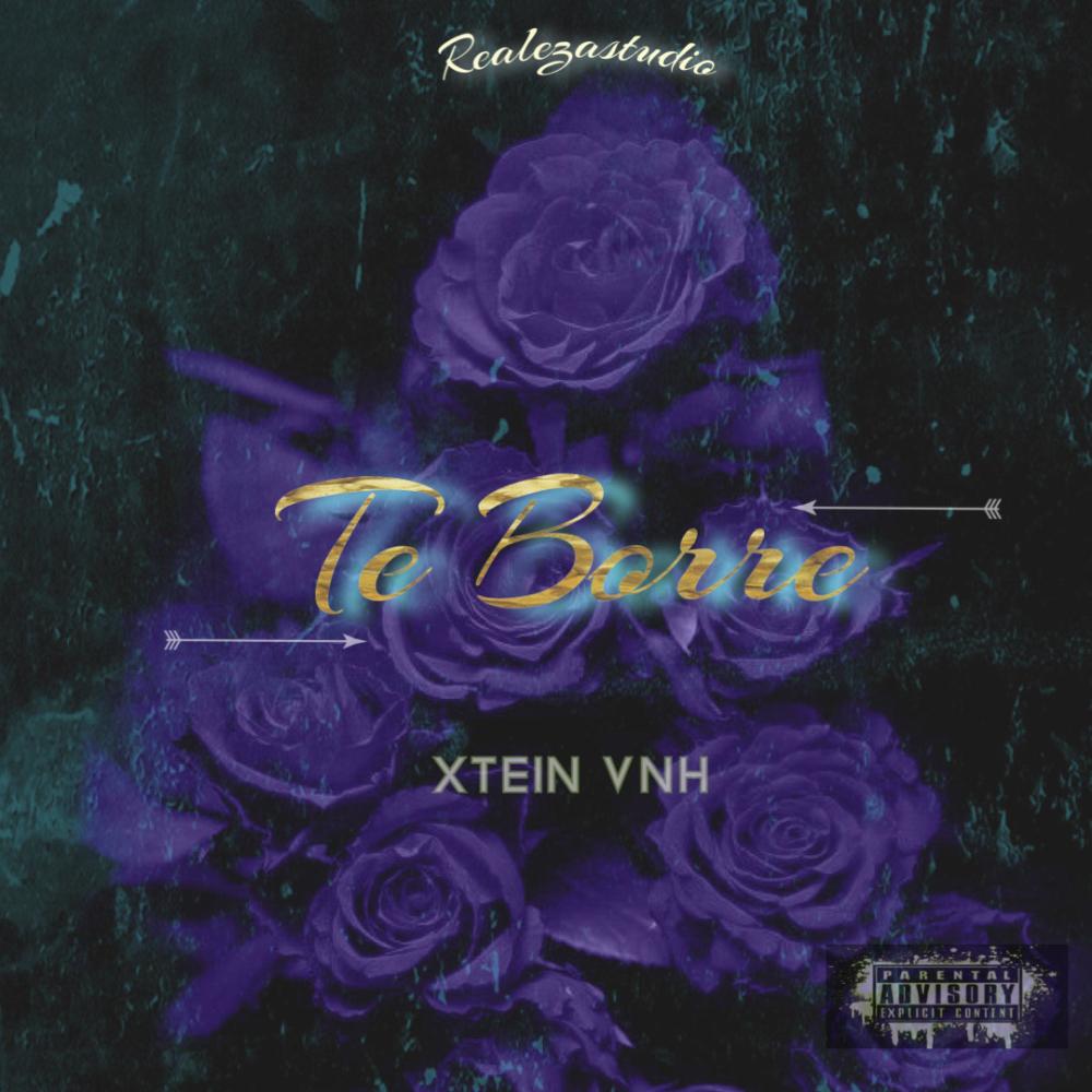 TE BORRE (feat. RealezaStudio) (Explicit)