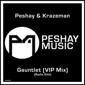Peshay的專輯Gauntlet (VIP Mix) (Radio Edit)