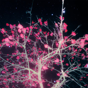 Dengarkan lagu Darkness nyanyian lonelyshadows dengan lirik