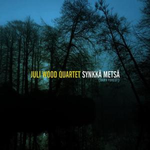 ดาวน์โหลดและฟังเพลง Lapin Aidin Kehto Laulu (Lapland Mother's Cradle Song) พร้อมเนื้อเพลงจาก Juli Wood Quartet