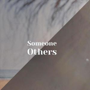 Various的专辑Someone Others