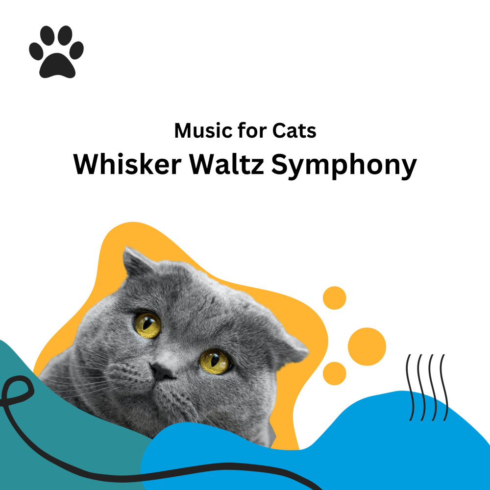 Symphony for Silent Meows