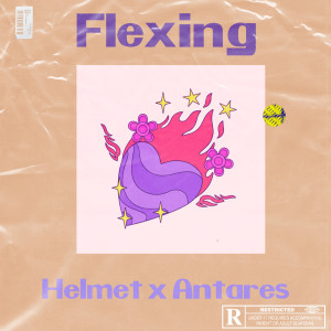 อัลบัม Flexing (Explicit) ศิลปิน Helmet