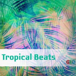 ดาวน์โหลดและฟังเพลง Tropical High พร้อมเนื้อเพลงจาก Lea Willis