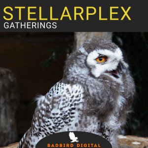 Album Gatherings from Stellarplex
