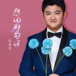 Listen to 想说那句话 (伴奏) song with lyrics from 孙英男