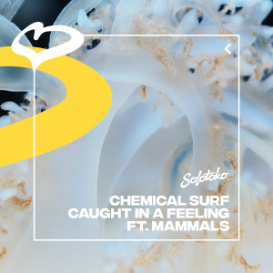 收聽Chemical Surf的Caught In A Feeling(feat. Mammals)歌詞歌曲