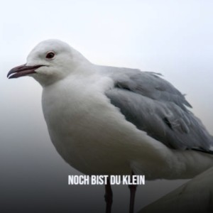 收听Clifton Parker的Storming the Stockade (Original Soundtrack from 'Treasure Island')歌词歌曲