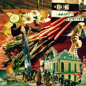 Album Garden Variety from Zook