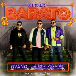 Listen to Me Salió Barato song with lyrics from Gvano