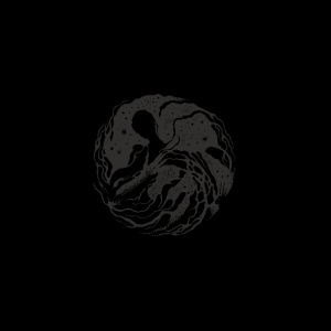 Listen to To Wander Beyond Lunar Seas song with lyrics from Rraaumm