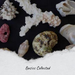 Album Basics Collected from Various