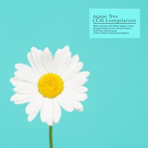 Album CCM Piano Collection For Happy Sharing Of Agape Tree oleh 韩国群星