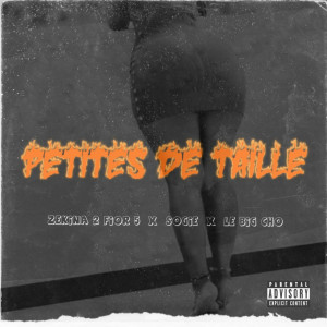 收聽Zekina 2 Fior 5的Petites De Taille (Explicit)歌詞歌曲