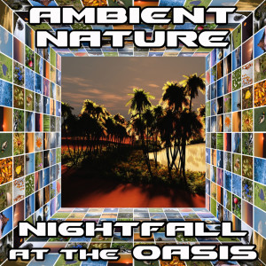Listen to Nightfall At The Oasis (Original) song with lyrics from Ambient Nature