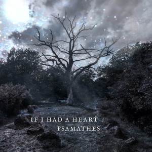 Psamathes的專輯If I Had a Heart (from "Vikings") [Bass Tagelharpa Version]