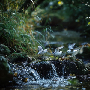 Soothing Binaural Spa: Gentle Creek and Nature Bird Ambience