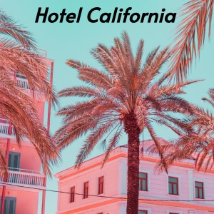 Dengarkan Hotel California lagu dari Billy Vaughn & his Orchestra dengan lirik