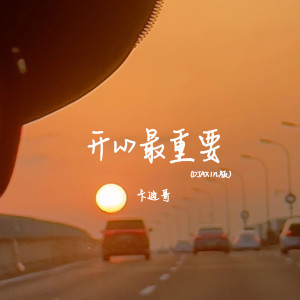 Album 开心最重要(DJAX1n版) from 卡迪哥