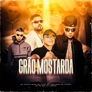 Listen to Grão de Mostarda song with lyrics from Mc Rodolfinho