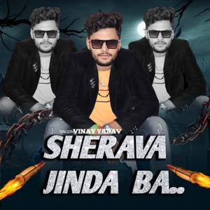 Listen to Sherava Jinda Ba song with lyrics from Vinay Yadav