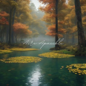 ดาวน์โหลดและฟังเพลง Aire Apacible พร้อมเนื้อเพลงจาก By RelaxingD