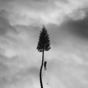 ดาวน์โหลดและฟังเพลง The Maze พร้อมเนื้อเพลงจาก Manchester Orchestra
