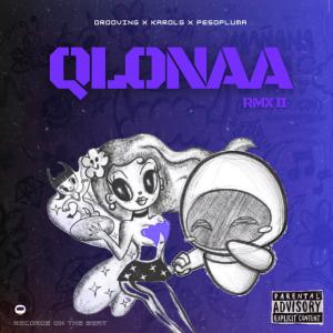 Drooving的專輯QLoNaA