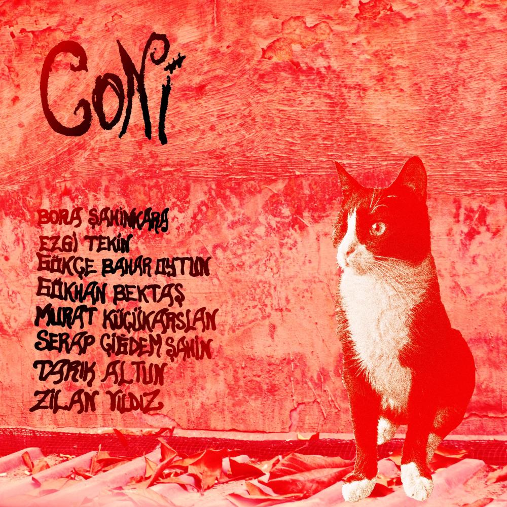 Kedi