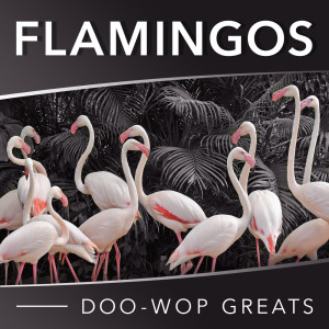 收聽Flamingos的As Time Goes By歌詞歌曲