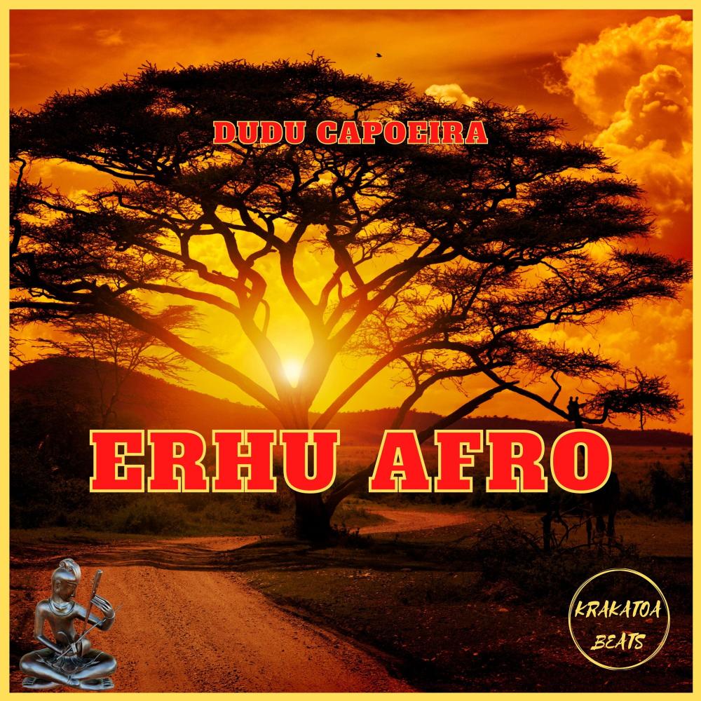 Erhu Afro