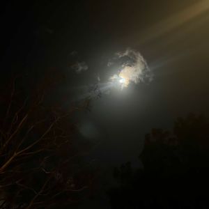 Listen to lunar song with lyrics from Storrify