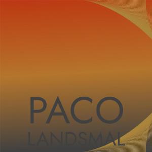 Various的专辑Paco Landsmal