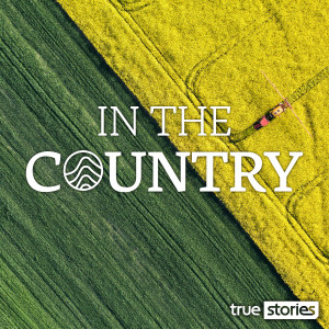 Album In The Country from Andrew Lord