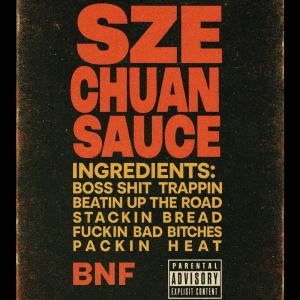 收听Dizzy的Szechuan (Explicit)歌词歌曲