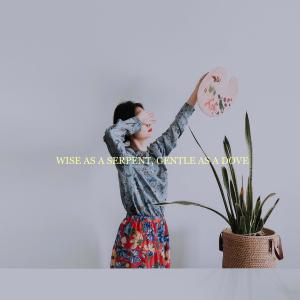 Listen to Wise As A Serpent, Gentle As A Dove (Demo) song with lyrics from 冼佩瑾