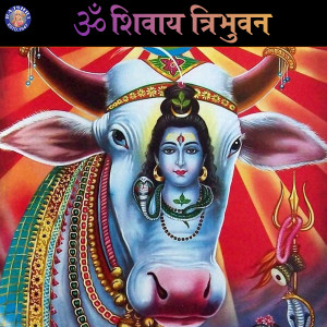 ดาวน์โหลดและฟังเพลง Mahamrityunjaya Mantra พร้อมเนื้อเพลงจาก Rajalakshmee Sanjay