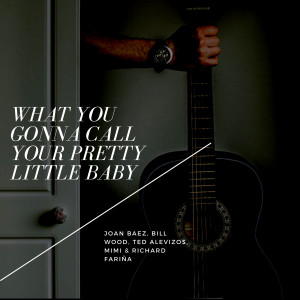 Album What You Gonna Call Your Pretty Little Baby from Joan Baez