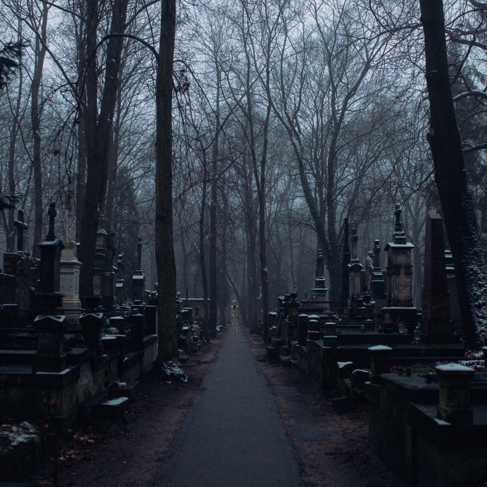 Graves (Explicit)