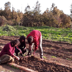 ดาวน์โหลดและฟังเพลง Amigues, Hogar de Hogares พร้อมเนื้อเพลงจาก Clara Löffel