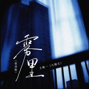 Album 雾里(宿命版) from 王唯一