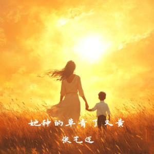 Album 我的母亲 from 张艺迈