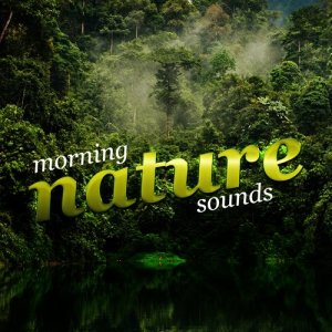 Mediation Sounds of Nature的專輯Morning Nature Sounds