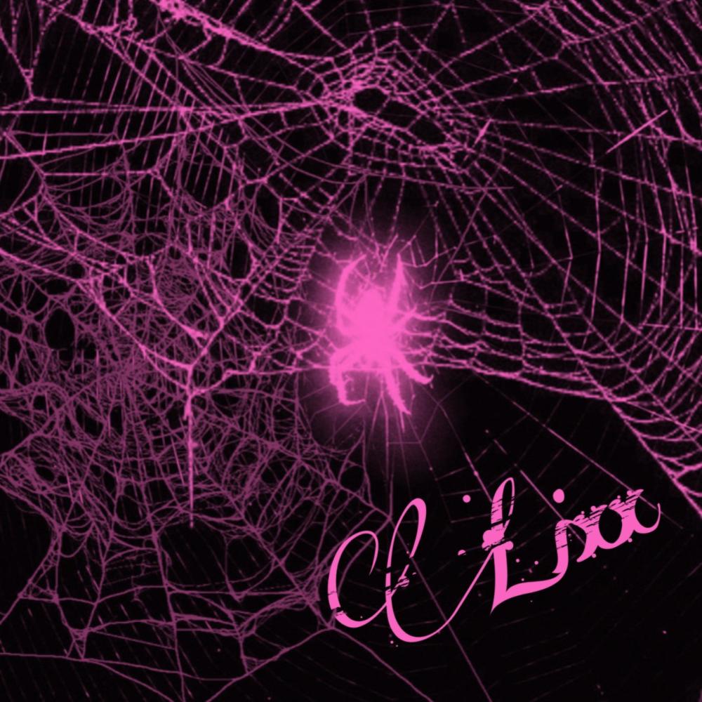 SPYDER (Explicit)