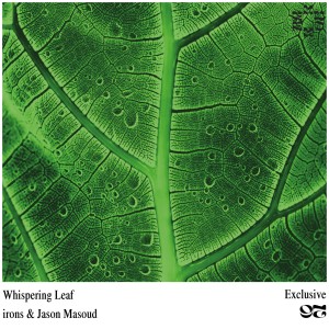 Irons的专辑Whispering Leaf