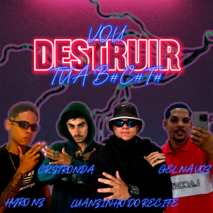 Album Vou Destruir Tua B#C#T# (Explicit) from 