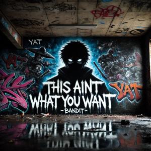 Chrit的專輯This Aint What U Want (YAT Bandit Edition) [Explicit]