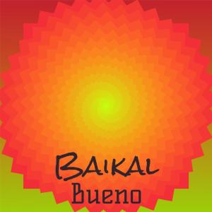 Various的专辑Baikal Bueno